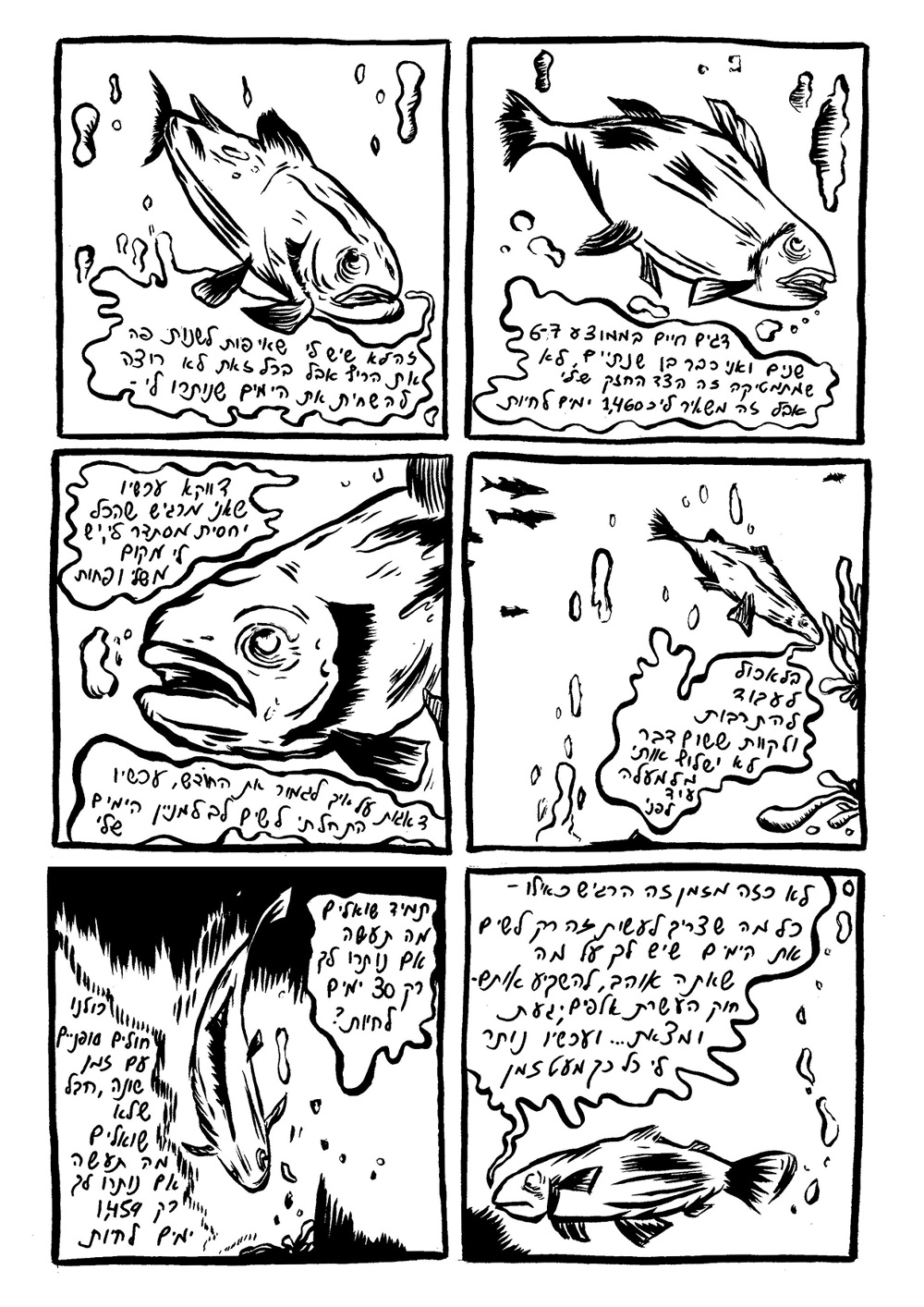 זיכרון של דג