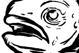 זיכרון של דג