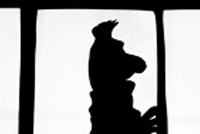 Deep into the night with bert