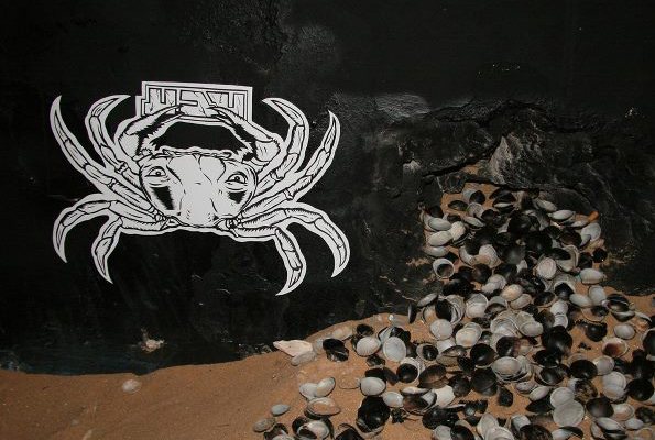 “Crop marks” / 23.2.12 / opening night